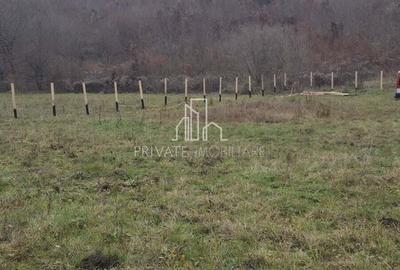 Teren de 20 mp, în Daneș - 14