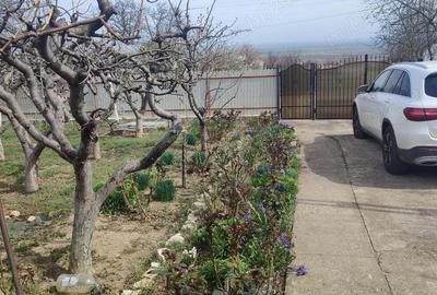 Vanzare casa curte sat Padureni com Jaristea Foc?ani - 4