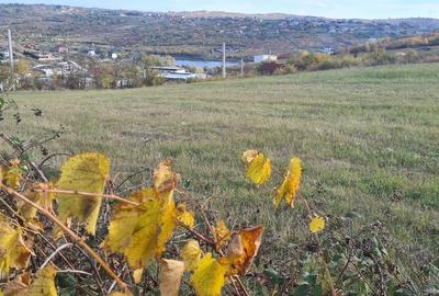 Casă cu 2 camere cu Teren 1500 Mp în Paleu - 7