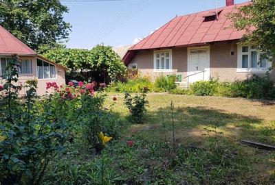 Casa la 21km de Piatra Neamt Gospodarie tradi?ionala livada si teren - 8