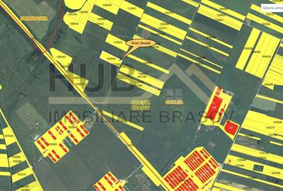 Pretabil Investitie Zona Industriala | Extravilan Codlea | 14.200mp - 3