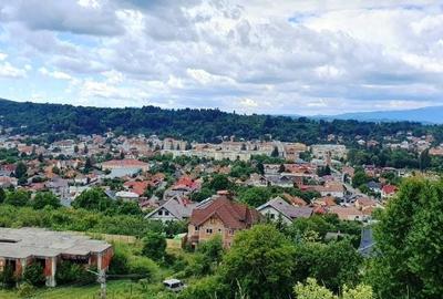 Teren Construcții intravilan de 5700 mp, în Câmpulung Muscel - 14