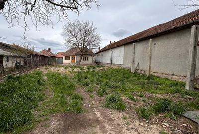Casă cu 4 camere în Băile 1 Mai - 1