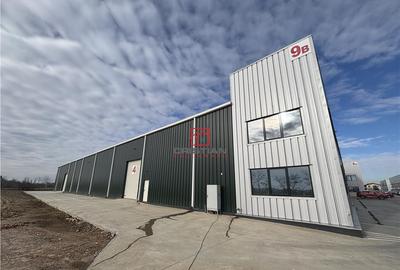 Depozit/hala/spatiu industrial Buftea - Tamasi, Ilfov - 3