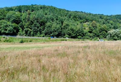 2500 mp TEREN INTRAVILAN MUNTII APUSENI, Negreni – Cluj, E60 - Mal Crisul Repede - 15