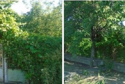 Casa si teren Straoane, cota parte 3/8. ID: R2715611 - 4