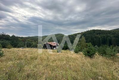 Teren de vanzare la 35 km de Brasov, perfect pentru casa de vis! - 1