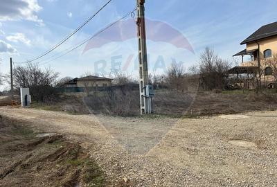 Teren Construcții intravilan de 700 mp, în Izvorani - 5