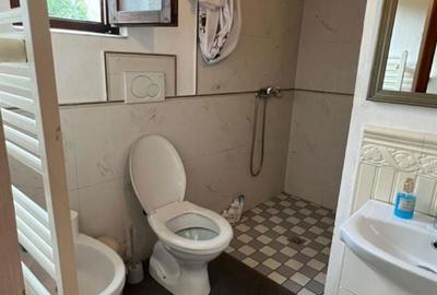 Casă cu 4 camere în Valea Neagră - 3