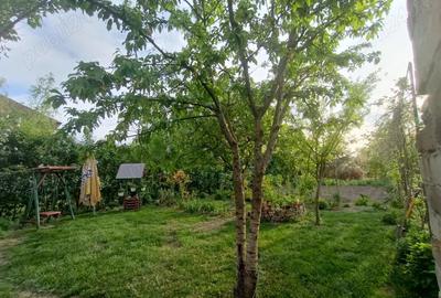 Casă cu 3 camere cu Teren 900 Mp în Central - 4