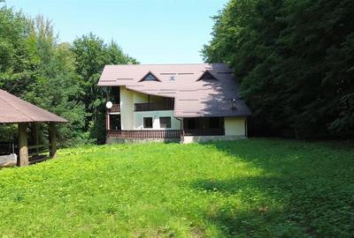 Casă individuală cu 6 camere cu Teren 5200 Mp în Sucevița - 8