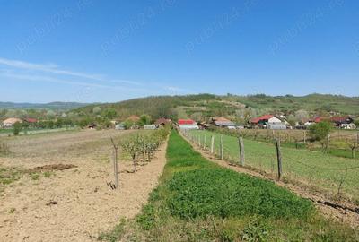 Teren de 76393 mp, în Vladimir - 2