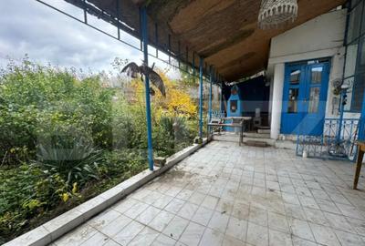 Casă cu 4 camere cu Teren 1488 Mp în Pestișu Mic - 12