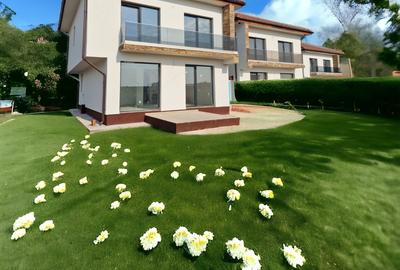 Proprietar - Single 4 camere, 300 mp, bucatarie inchisa cu debara - 3