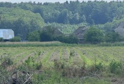 Teren de 13518 mp, în Marginea - 1
