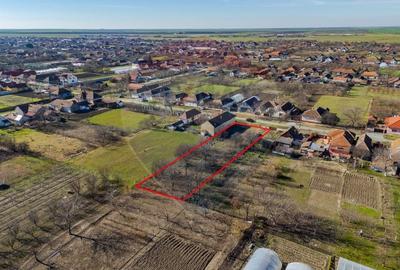 Teren Construcții intravilan de 1295 mp, în Șiria - 6