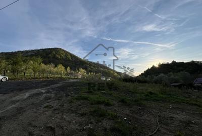 Teren la poalele Cetății Cisnadioarei de vânzare/1250 mp Teren la poalele Cetății Cisnadioarei de vânzare/1250 mp - 8