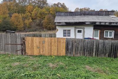 Teren de 1717 mp, în Mărgineni - 4