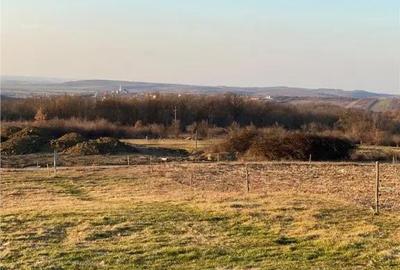 Teren de 2000 mp, în Spitalul Județean - 4