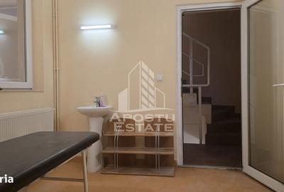 Spațiu comercial, de 250 mp, în Iosefin - 12