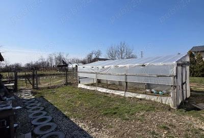 Casă cu Teren 2579 Mp în Colanu - 2