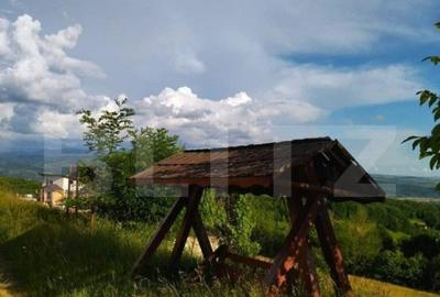 Cabana de vanzare in Stramba - 26