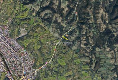 Resita, Teren Intravilan 5615 Mp., 25 Euro/Mp., Calea Carans - 16