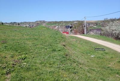 Teren de 20000 mp, în Aroneanu - 2