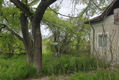 Casă cu 3 camere decomandat în Uliești - 2