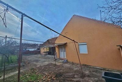 Casa de vanzare in Macea - 1