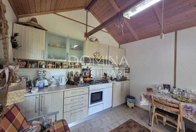 Vanzare proprietate remarcabila situata in zona turistica Runcu - 1