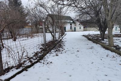 Casa singur in curte Vulcan -Central - 4