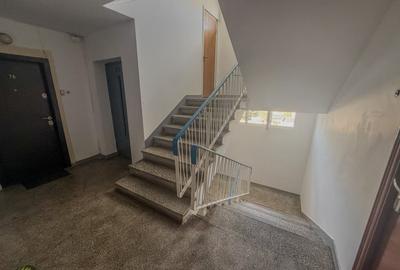 Apartament cu 2 camere semidecomandat în Teiul Doamnei - 10