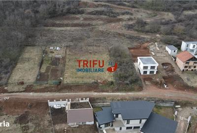 Teren de 990 mp, în Cetate - 5