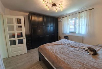 Casa de vacanta | Curte | Teren | Belciugatele | Calarasi - 3