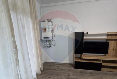 Apartament cu 2 camere decomandat, mobilat în Vest - 10
