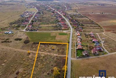 Teren de 19000 mp, în Pișchia - 2