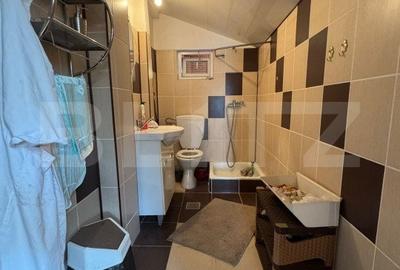 Casa cu 3 camere, 60 mp, mansarda, zona Unirii - 17