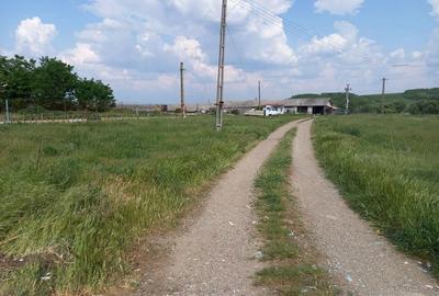 Spațiu comercial, de 700 mp, în Ghelăiești - 7