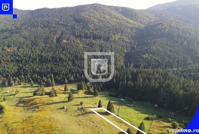 Teren situat in Frasin | BUCOVINA - 7