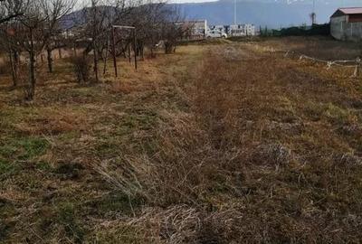 Teren 934 mp Ghimbav - 6