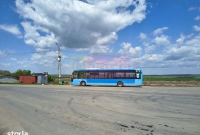 Teren de 975 mp, în Cernica - 17