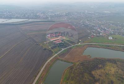 Teren Construcții intravilan de 43708 mp, în Scobâlțeni - 5