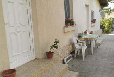 Casa locuibila,  din caramida, gaze,teren 360 mp cu deschidere 18, Palas - 3