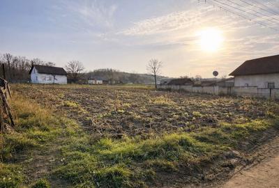 Spațiu comercial, în Hănțești - 3