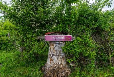 Teren Bran -Sohodol, Strada La mesteceni, 6900mp - 16