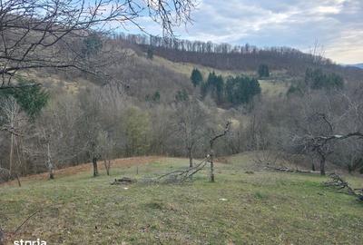 Casă cu 2 camere cu Teren 27263 Mp în Hălmagiu - 7