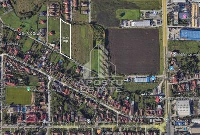 Teren 3929 mp, langa Timisoara, Ghiroda, ideal dezvoltari imobiliare. Teren 3929 mp, langa Timisoara, Ghiroda, ideal dezvoltari imobiliare. - 2