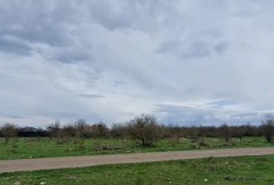 Teren de 533 mp, în Sânpetru