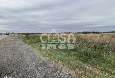 Spațiu comercial, în Dumbrava - 15